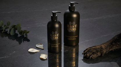 Chien au pelage doux après shampoing Gust Care